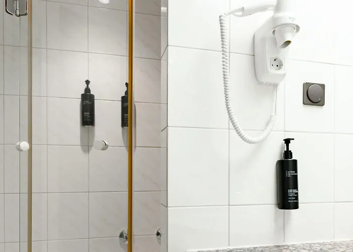 Hotel Continental Frankfurt 3*